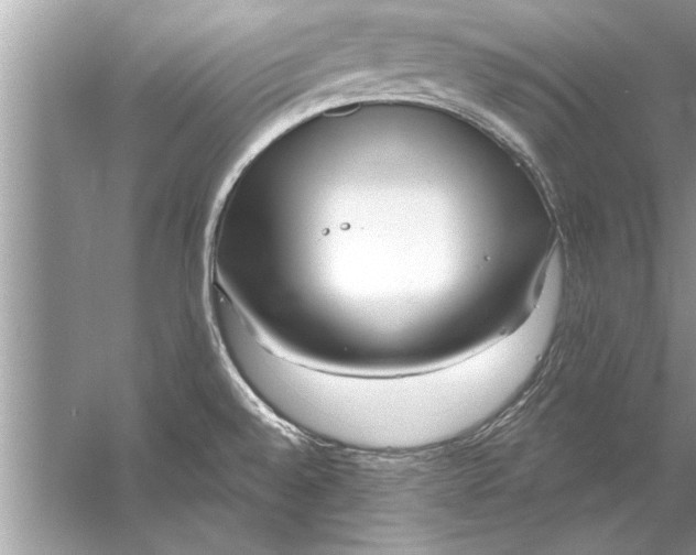 X0000056011528200509162331