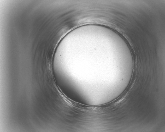 X0000056011529200509162331