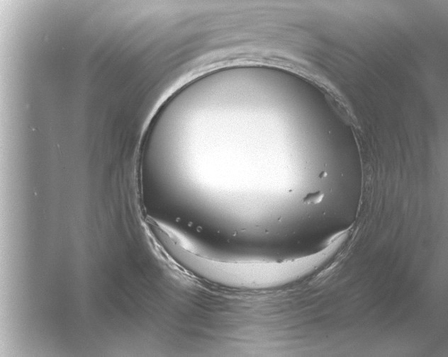 X0000056011530200509162331