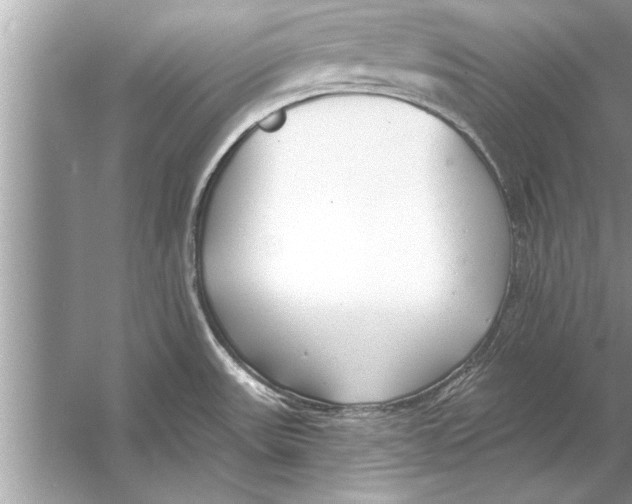 X0000056011531200509162331