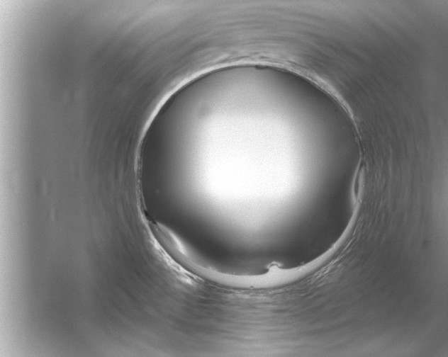 X0000056011532200509162331