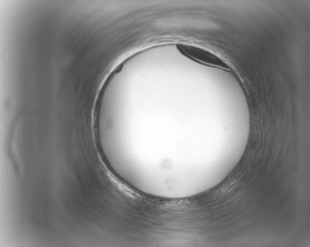 X0000056011535200509162331