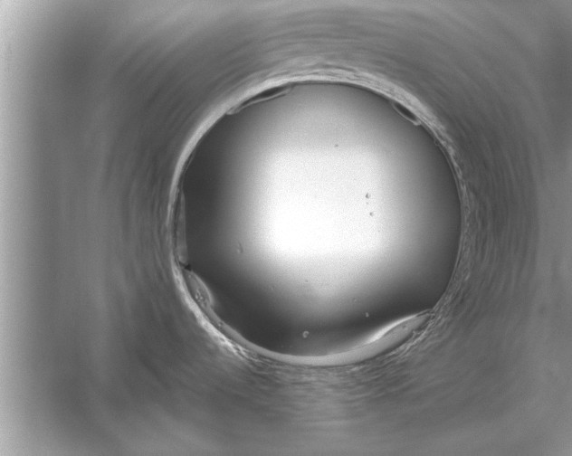 X0000056011536200509162331