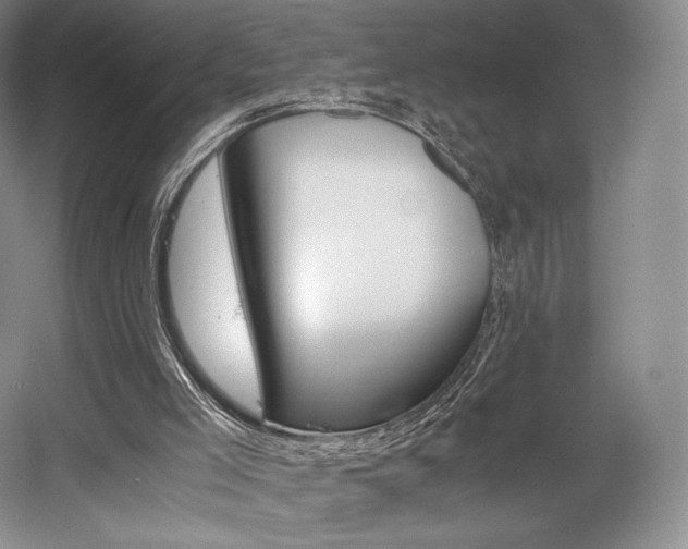 X0000056020005200508190932