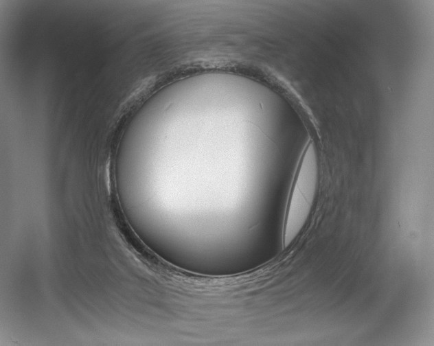 X0000056020019200508190932