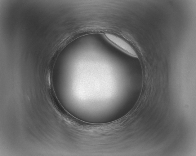 X0000056020021200508190932