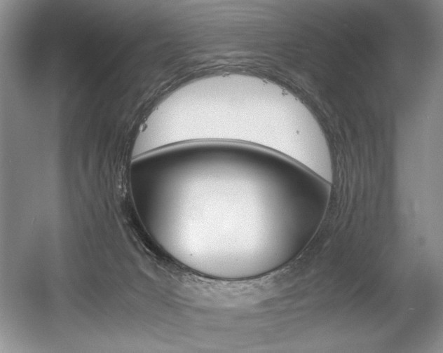 X0000056020031200508190932