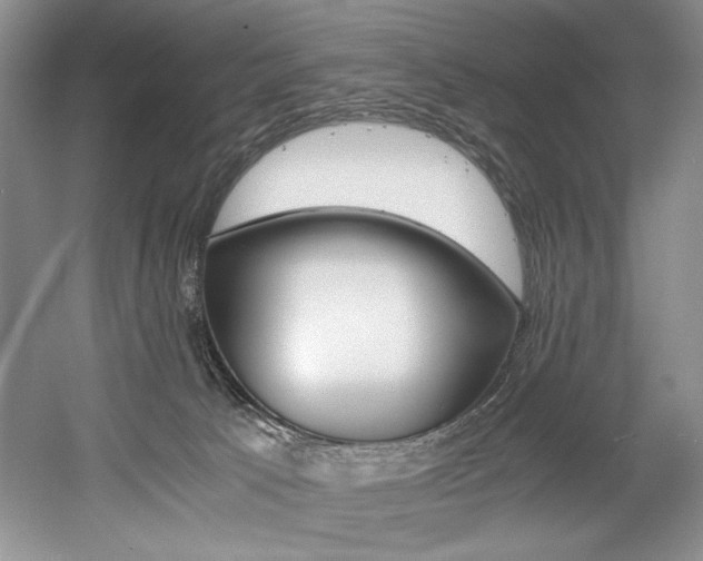 X0000056020033200508190932