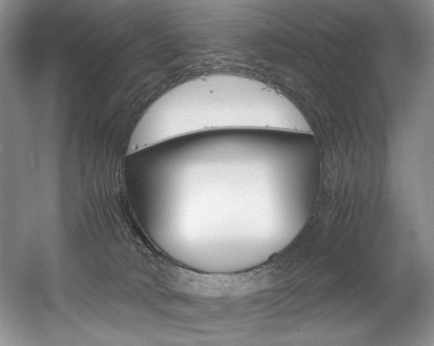 X0000056020034200508190932