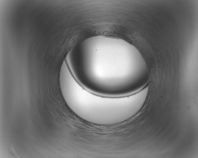 X0000056020041200508190932