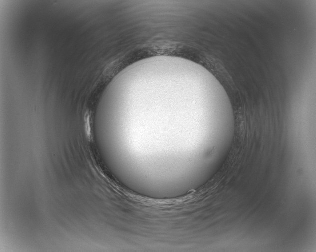 X0000056020042200508190932