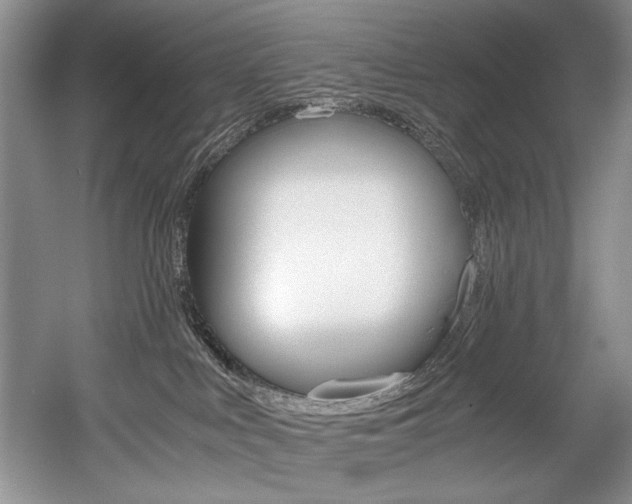 X0000056020043200508190931