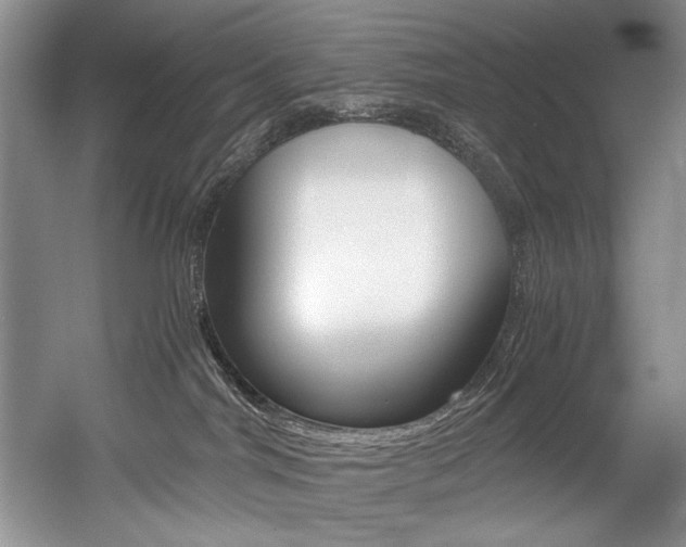 X0000056020044200508190931