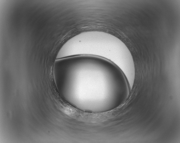 X0000056020045200508190931