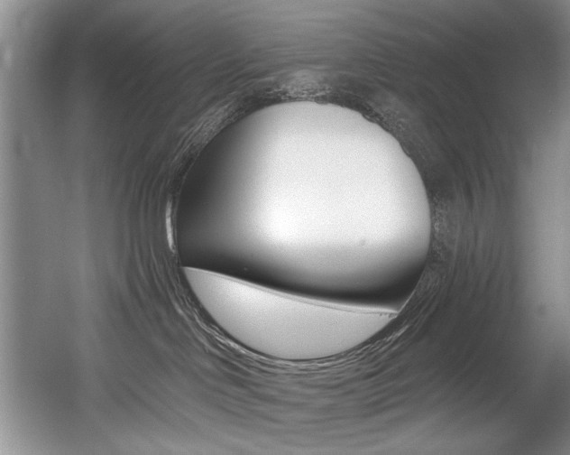 X0000056020046200508190931