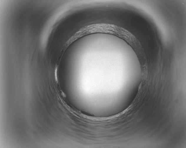 X0000056020047200508190931