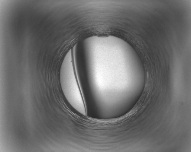 X0000056020048200508190931