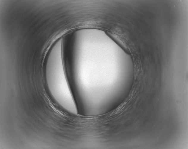 X0000056020050200508190931