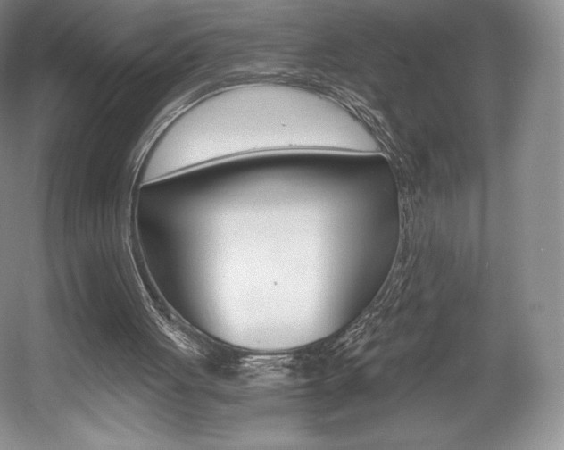 X0000056020051200508190931
