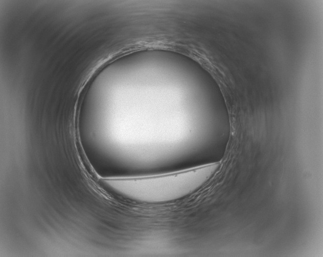 X0000056020052200508190931
