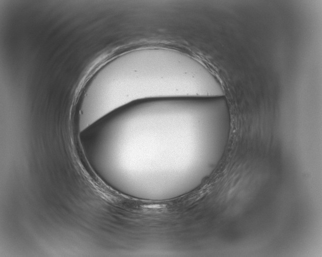 X0000056020053200508190931