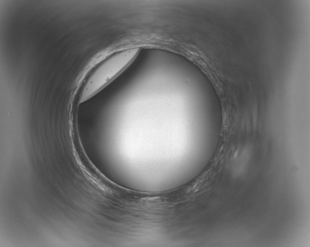 X0000056020054200508190931