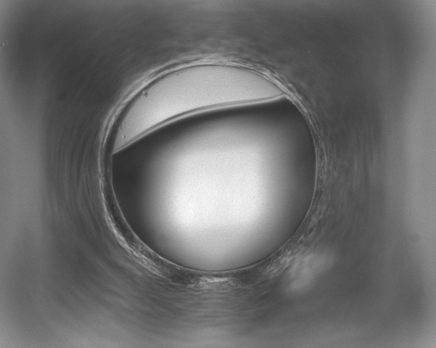 X0000056020055200508190931