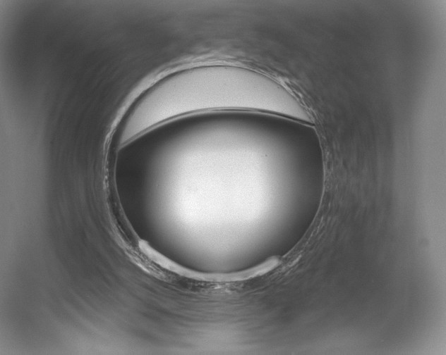 X0000056020056200508190931