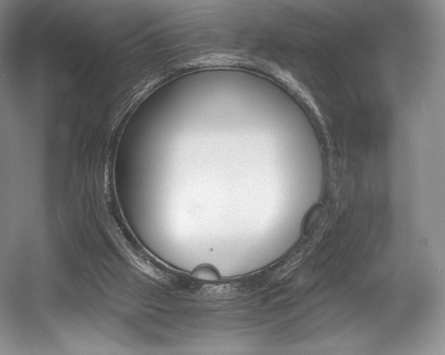 X0000056020057200508190931