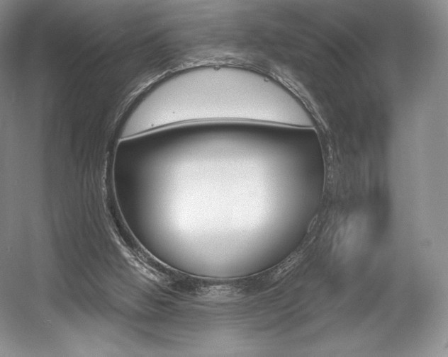 X0000056020058200508190931