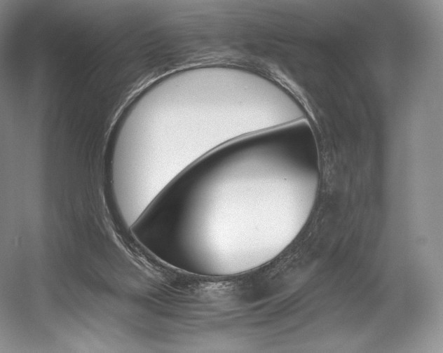 X0000056020059200508190931