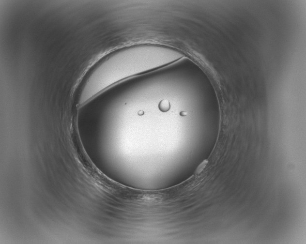 X0000056020060200508190931