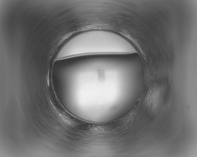 X0000056020062200508190931