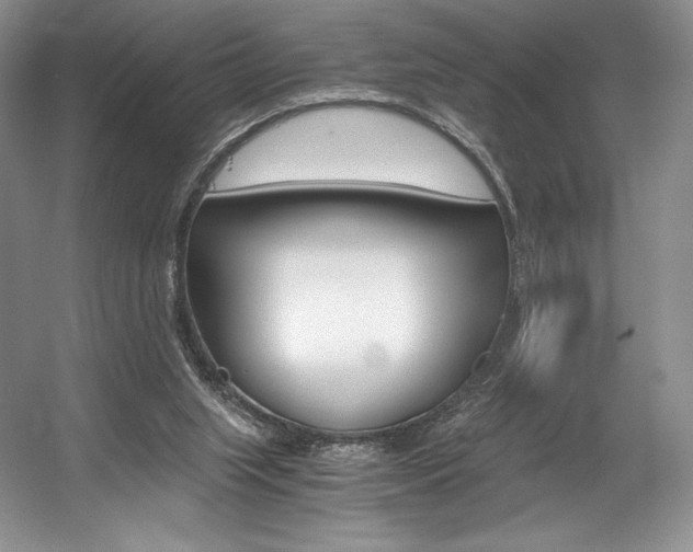 X0000056020063200508190931