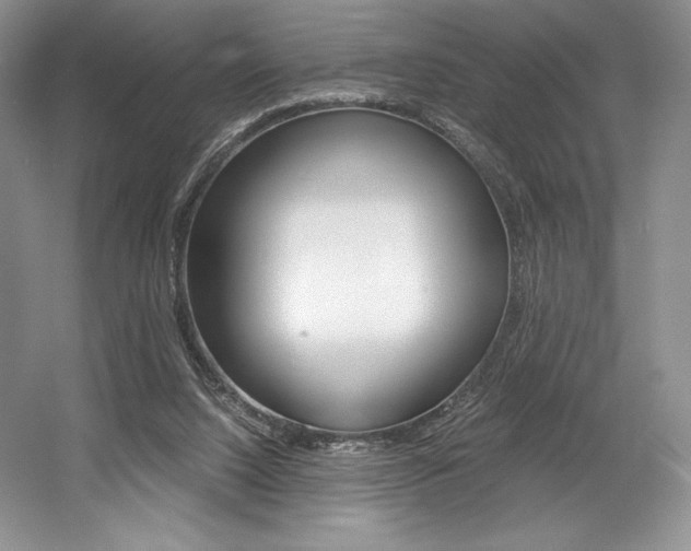 X0000056020064200508190931