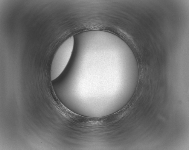 X0000056020065200508190931