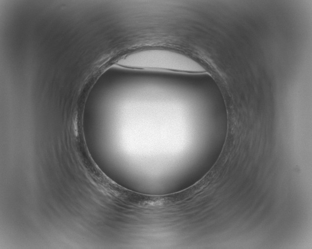 X0000056020068200508190931