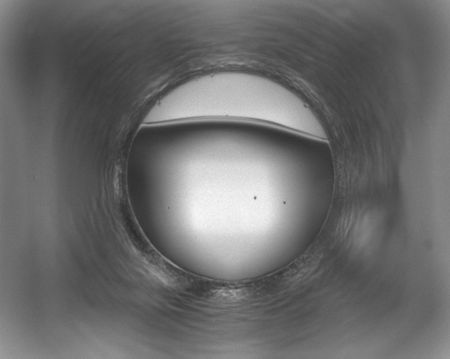 X0000056020071200508190931