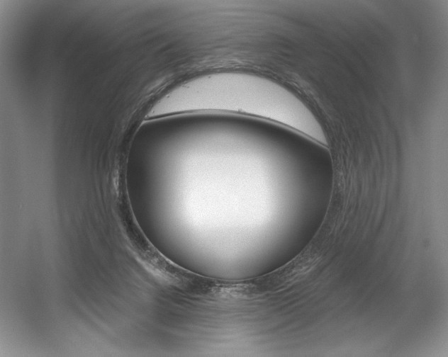 X0000056020072200508190931