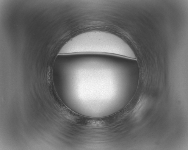 X0000056020073200508190931