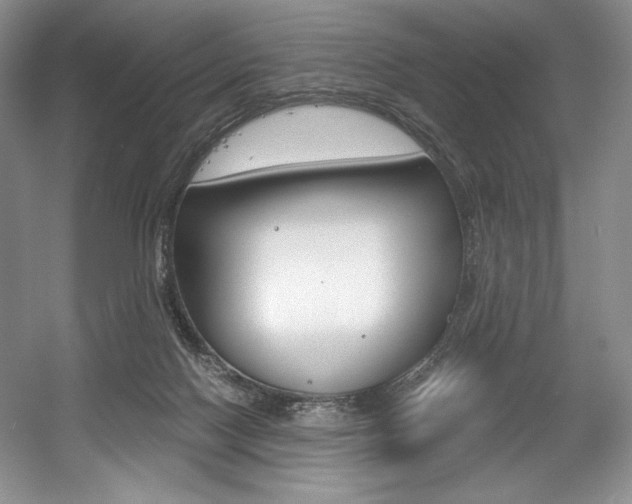 X0000056020074200508190931