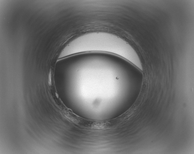 X0000056020076200508190931
