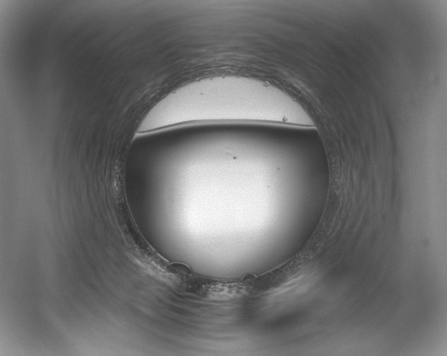 X0000056020077200508190931