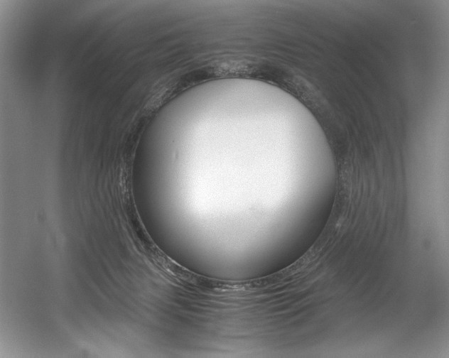 X0000056020079200508190931