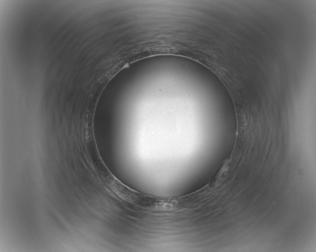 X0000056020080200508190931
