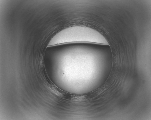 X0000056020081200508190931