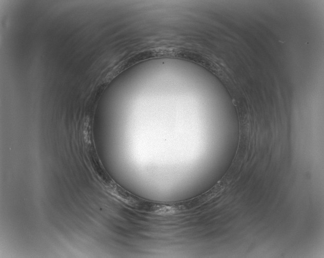 X0000056020083200508190931