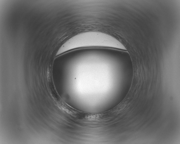 X0000056020084200508190931