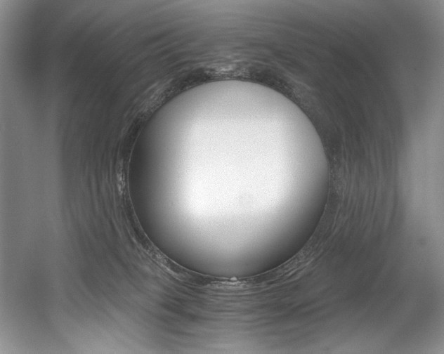 X0000056020085200508190931