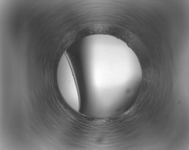 X0000056020086200508190931